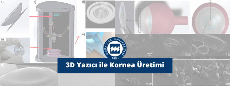 Marmara Üniversitesi’de 3D Yazıcı ile Kornea Üretimi
